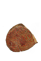 Orange Blood n°5 - 30 x 27 cm - acrylique sur pin - © Annie Thérie